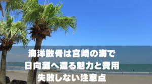 海洋散骨は宮崎の海で。日向灘へ還る魅力と費用・失敗しない注意点
